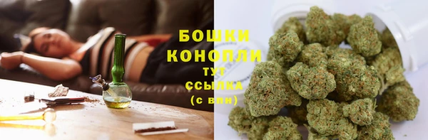 стаф Пересвет