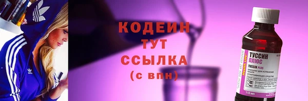 молекула духа Переславль-Залесский