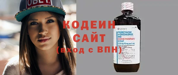 молекула духа Переславль-Залесский