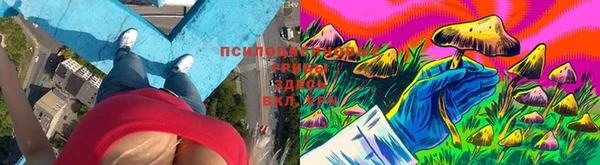 каннабис Осташков