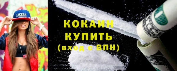 стаф Пересвет