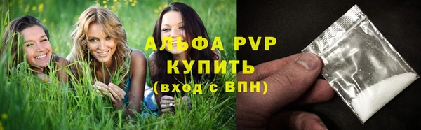 стаф Пересвет