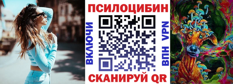 Псилоцибиновые грибы Psilocybine cubensis  Кремёнки 